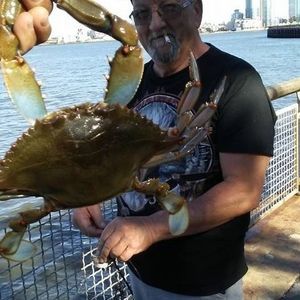 Meet your Posher, Joe